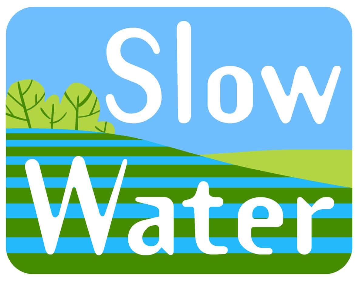 Slow Water Logo