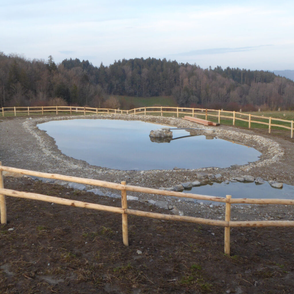 Speicherbecken_Katzhof_cut